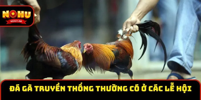 Đá gà truyền thống thường có ở các lễ hội